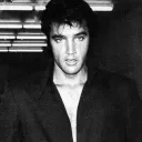 ELVIS FANS!!