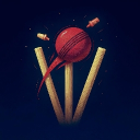 Over The Wickets Discord server icon