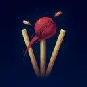 Over The Wickets's icon