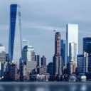 // StarZone ⋆ 스타존 //