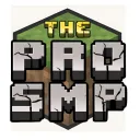 The Pro SMP ❤🟩🟫⛏