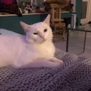 Igor