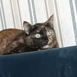 Перекрёсток миров — мониторинг Discord сервера, статистика и рейтинг