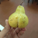 The Pear Club Discord server icon