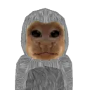 \ Monke | Oasis /