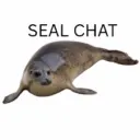 the seal chat