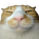 Sour Dough Discord server icon