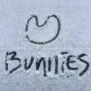 sunnyy’s bunnies