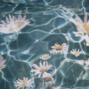 alenis Discord server icon