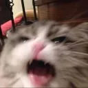 Artoverse Discord server icon