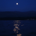 ⋆.˚Avery’s Cool Kid Club⋆✮ ˚｡⋆ Discord server icon