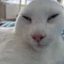 𝑀𝒾𝓂𝒾'𝓈 𝑔𝓃𝑔 :3