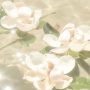 ‧˚꒰ ˖ ࣪⊹ 𝐃𝐨𝐥𝐥𝐲'𝐬 𝐂𝐚𝐟𝐞 .ᐟ ୭ ˚. ᵎᵎ Discord server icon