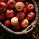 Basket of Slices