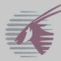 Qatar airways PTFS