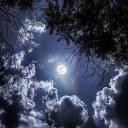 Moonlight Realm | Indian ~ ...