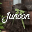 Discovery icon for Junoon 🍒 | Chill﹒Emoji﹒Pfps﹒Social﹒Games﹒Dating﹒Hangout﹒Friends﹒Gws﹒Events Discord server