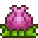 Terraria Speedrunners!