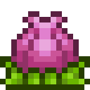 Terraria Speedrunners!