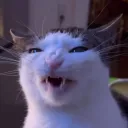 𝐋𝐮𝐥𝐳𝐊𝐚𝐭 𝐃𝐞𝐧 >⩊<