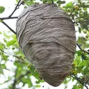 UK BEE PLACE