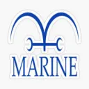 Project: Laugh Tale Marines