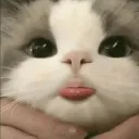 sweet family Discord server icon