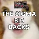the sigma big backs