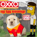 Discovery icon for El Oxxo de Discord: No hay sistema・México・Argentina・Colombia・Chile・Perú・España・VC 24/7・Gaming・Social Discord server