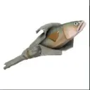 Thefishpond