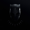 panthers Discord server icon