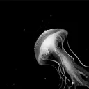The Bots