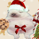 ﹒◜ peowen   ⊹  ֹ   ₊  pibble ♡(˃͈ ˂͈ ) Discord server icon