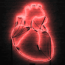 Hidden Hearts ⟡ +18 ・Gaming ・Vc ・Social ・Events