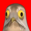 Bird Things