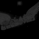 Palácio Celestial  Discord Server Icon