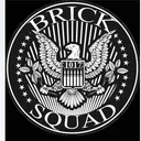Pve Brick Squad (PvP weekends )