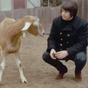 Pet Sounds WPlace