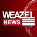 Weazel News | LL RP