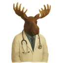 Obii