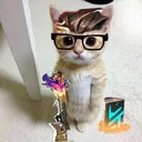 ┇ARMY CATS┇
