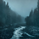 𝐄𝐭𝐞𝐫𝐧𝐚𝐥 𝐃𝐮𝐬𝐤: 𝐓𝐡𝐞 𝐓𝐰𝐢𝐥𝐢𝐠𝐡𝐭 𝐒𝐚𝐠𝐚 Discord server icon