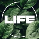 ♡  Life  ♡