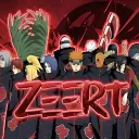 /zeert networth & ads