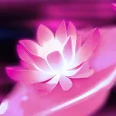 ʟᴏᴛᴜs ᴄʟxɴ