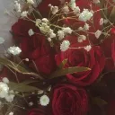 𝓑𝓵𝓸𝓸𝓶  ❀˖°.𖥔 ݁ ˖