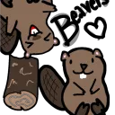 THE BEAVER DEN