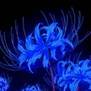 Shinkiro(SBH) | MUGEN
