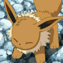 Eevee’s Burrow