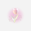 ୨୧ .* :🌷Tulips community ෆ+...